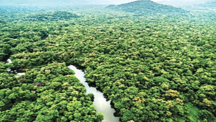 <b>भारत-में-वृक्ष-आवरण-बढ़ा:-मध्य-प्रदेश-बना-सबसे-प्रमुख-राज्य</b>