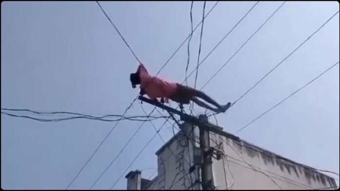 <b>आंध्र-प्रदेश-में-एक-युवक-ने-बिजली-के-खंभे-पर-सोकर-किया-सबको-हैरान,-जानें-क्या-थी-वजह</b>