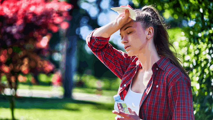 <b>दिल्ली-में-हीट-वेव-का-संकट:-तापमान-बढ़ने-से-जीवन-प्रभावित</b>