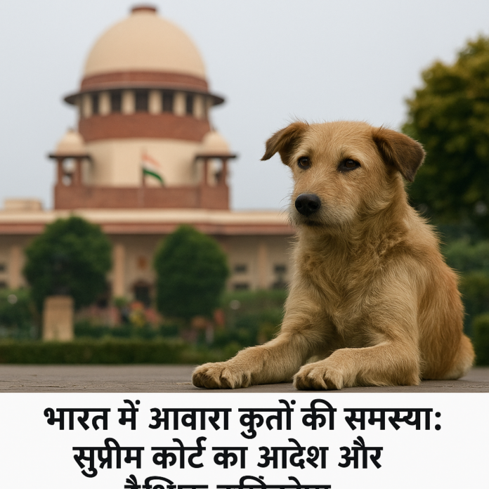 भारत में आवारा कुत्तों की समस्या: सुप्रीम कोर्ट का आदेश और वैश्विक दृष्टिकोण